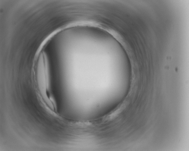 X0000083050912200702231952