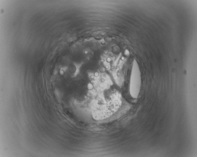 X0000083050913200702231951