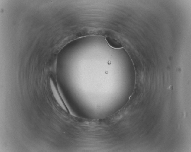 X0000083050914200702231951