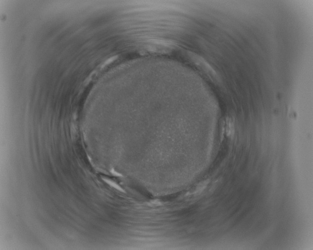 X0000083050915200702231951