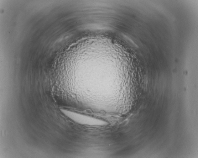 X0000083050917200702231951