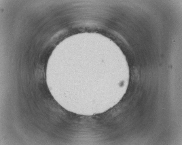 X0000083050918200702231951