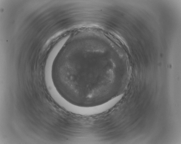 X0000083050920200702231951