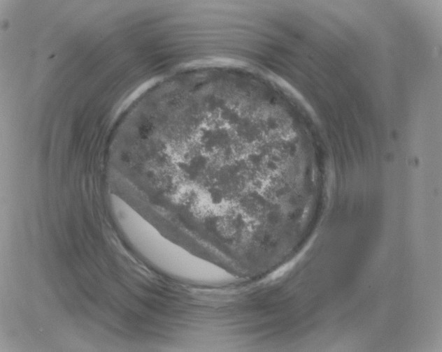 X0000083050921200702231951