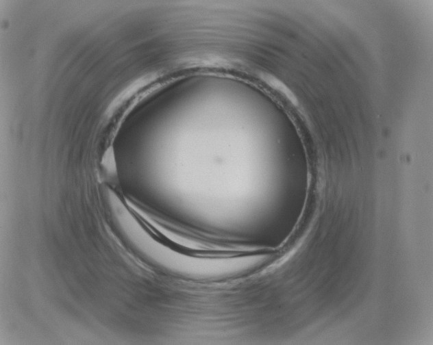 X0000083050922200702231951