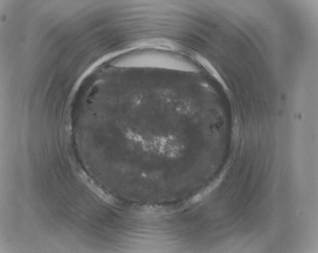 X0000083050923200702231951