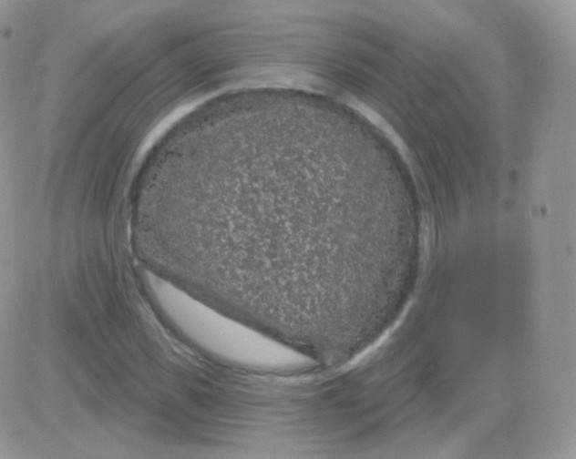 X0000083050925200702231951