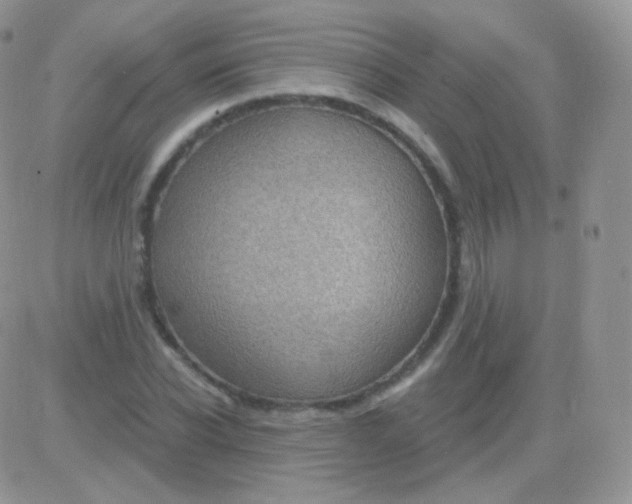 X0000083050926200702231951