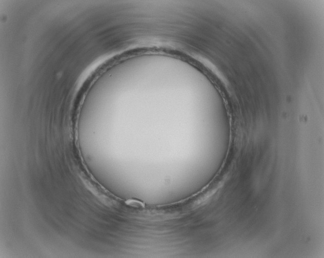 X0000083050927200702231951