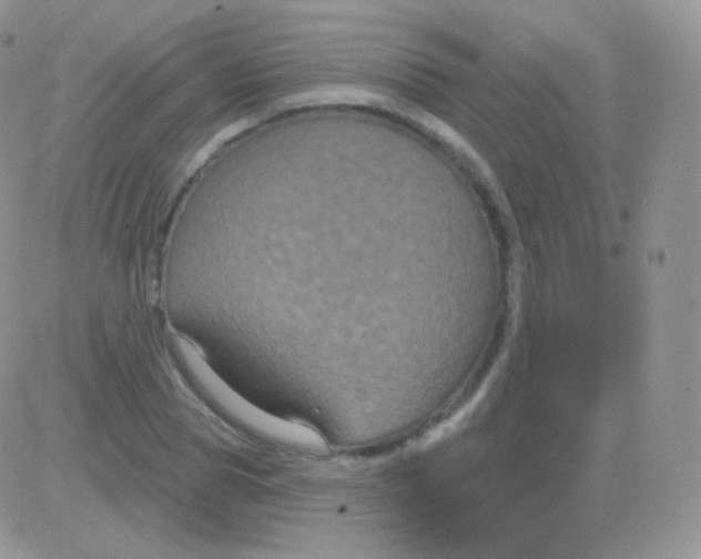 X0000083050929200702231951