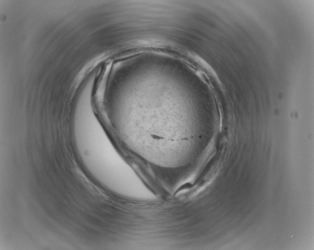 X0000083050930200702231951