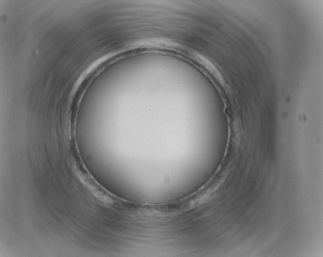 X0000083050931200702231951