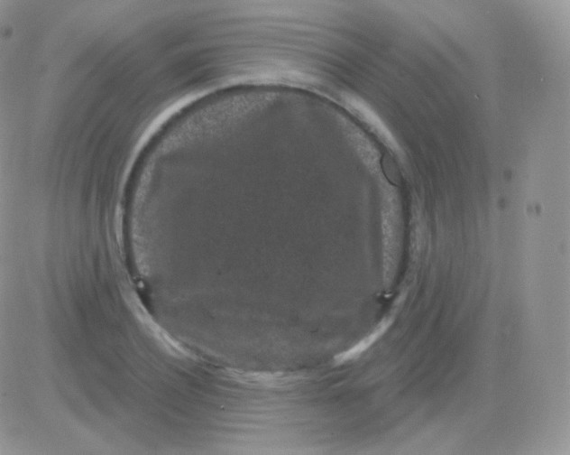 X0000083050932200702231951