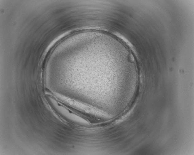 X0000083050933200702231951