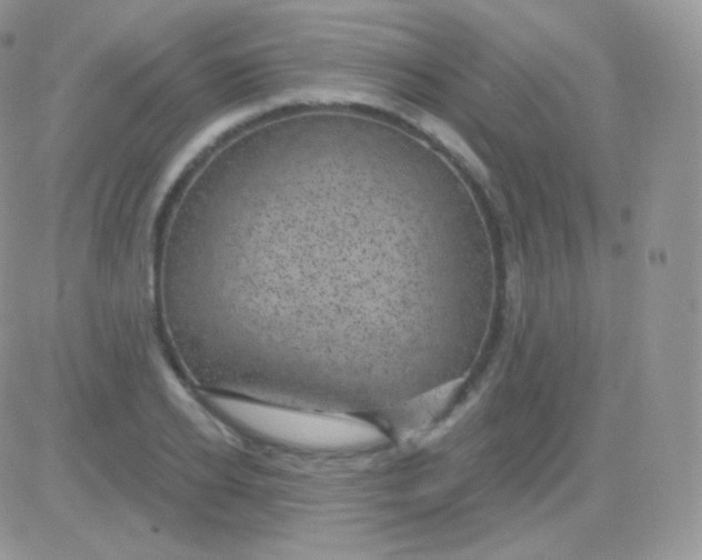 X0000083050934200702231951