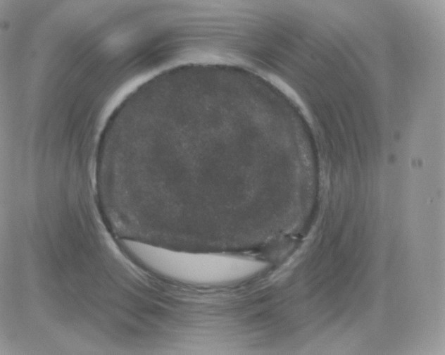 X0000083050935200702231951