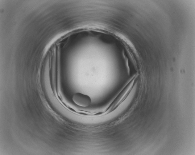 X0000083050936200702231951