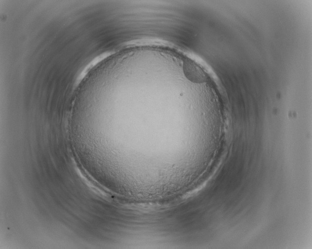 X0000083050937200702231951