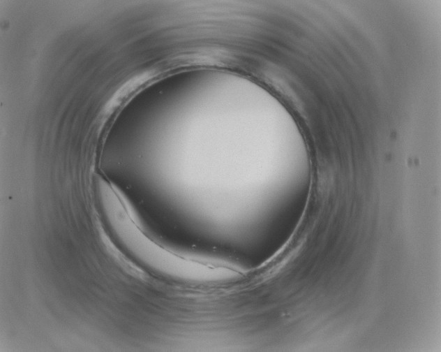 X0000083050938200702231951