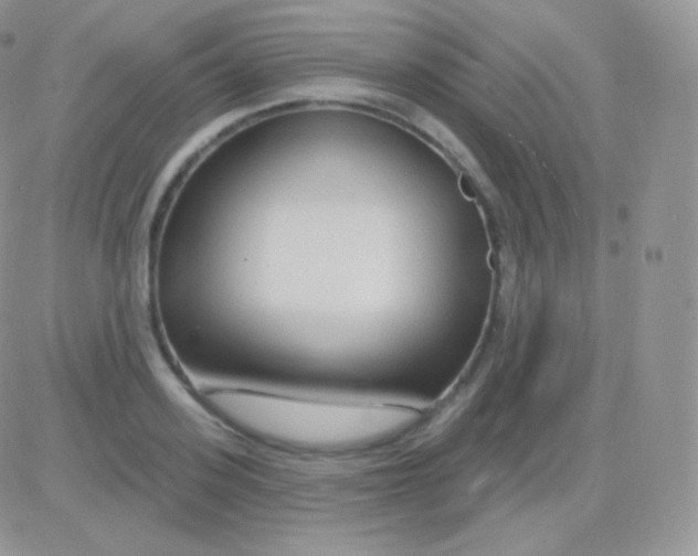 X0000083050939200702231951