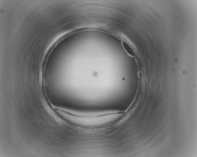 X0000083050940200702231951