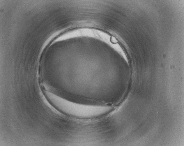 X0000083050941200702231952