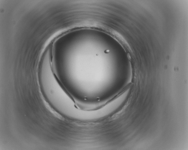 X0000083050942200702231952