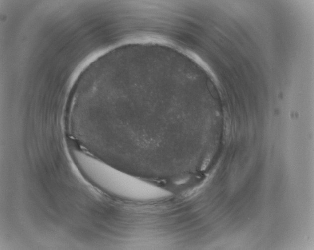 X0000083050943200702231952