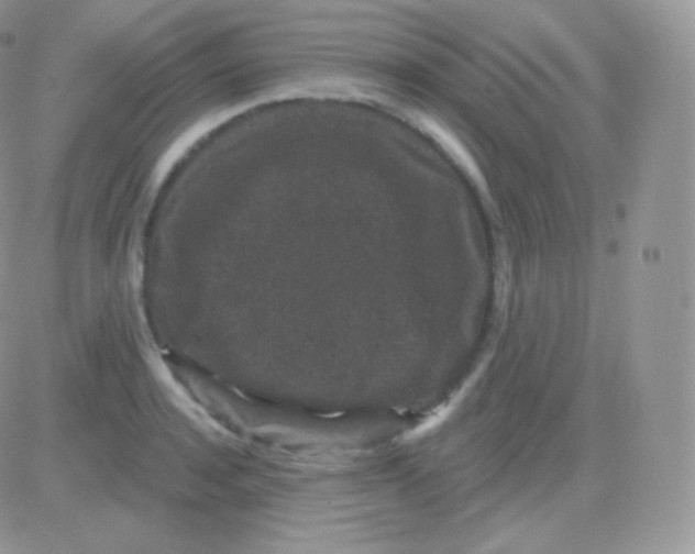 X0000083050944200702231952