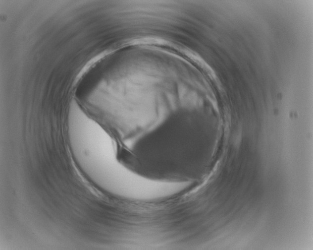 X0000083050945200702231952