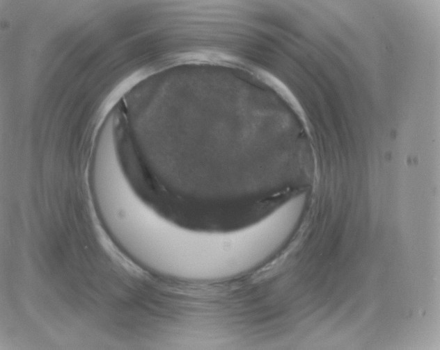 X0000083050946200702231952