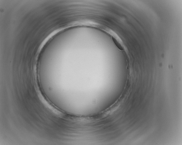 X0000083050947200702231952