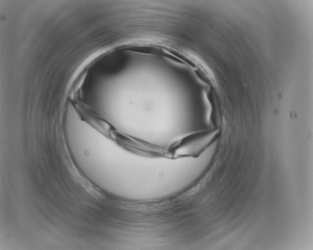 X0000083050948200702231952