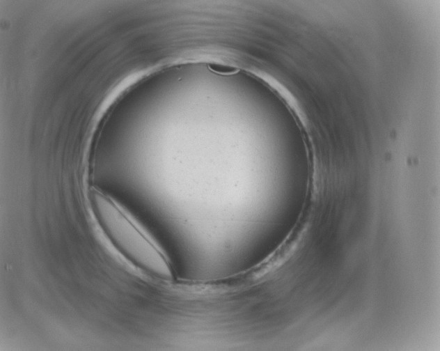 X0000083050949200702231952