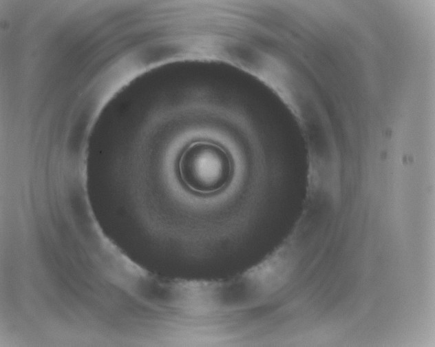 X0000083050950200702231952