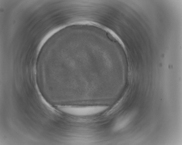 X0000083050951200702231952