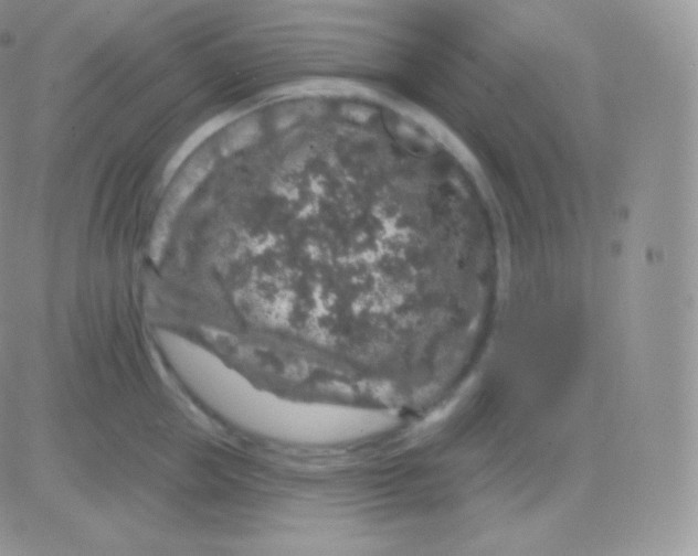 X0000083050953200702231952