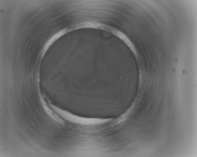 X0000083050954200702231952