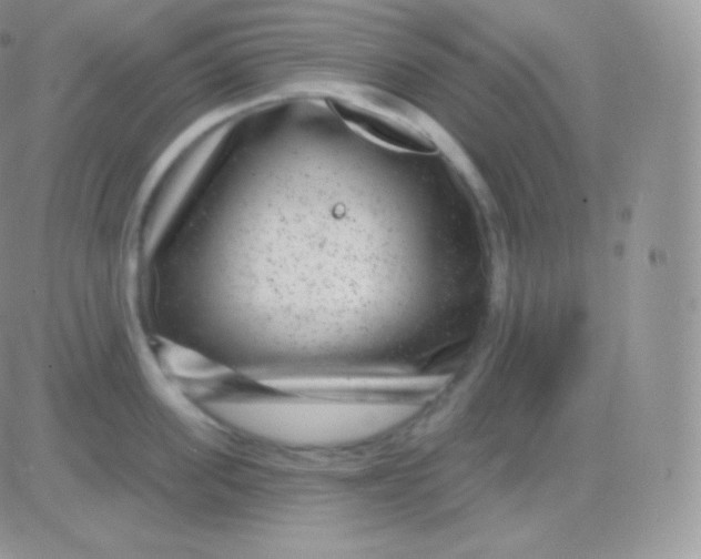 X0000083050955200702231952