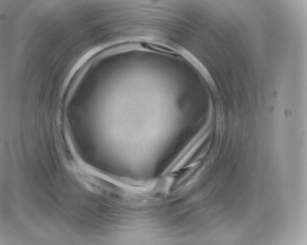 X0000083050956200702231952