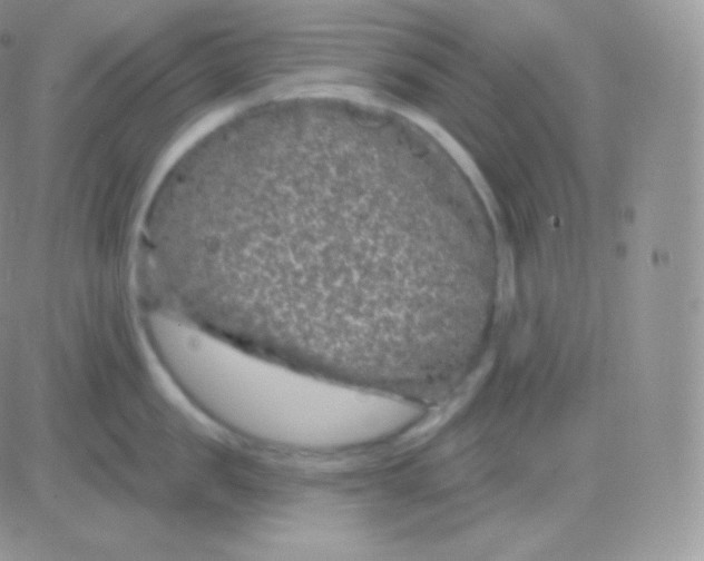 X0000083050957200702231952