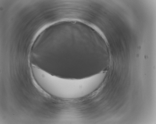 X0000083050958200702231952