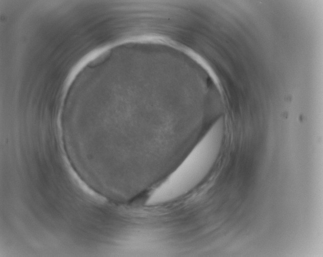 X0000083050959200702231952