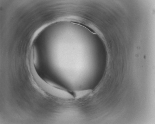 X0000083050960200702231952