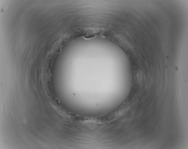 X0000083050961200702231951