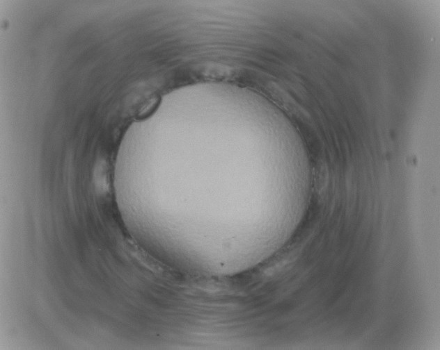 X0000083050962200702231951