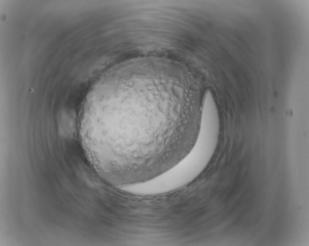 X0000083050963200702231951