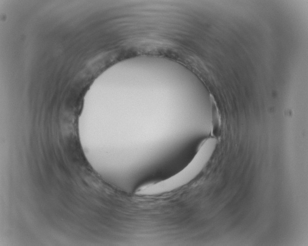 X0000083050964200702231951