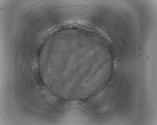 X0000083050966200702231951