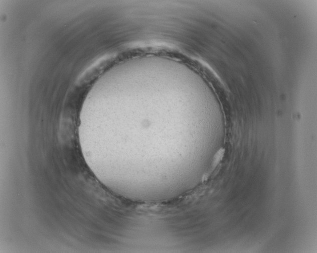 X0000083050967200702231951